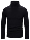 Hayes | Men's Ribbed Slim Turtleneck Sweater