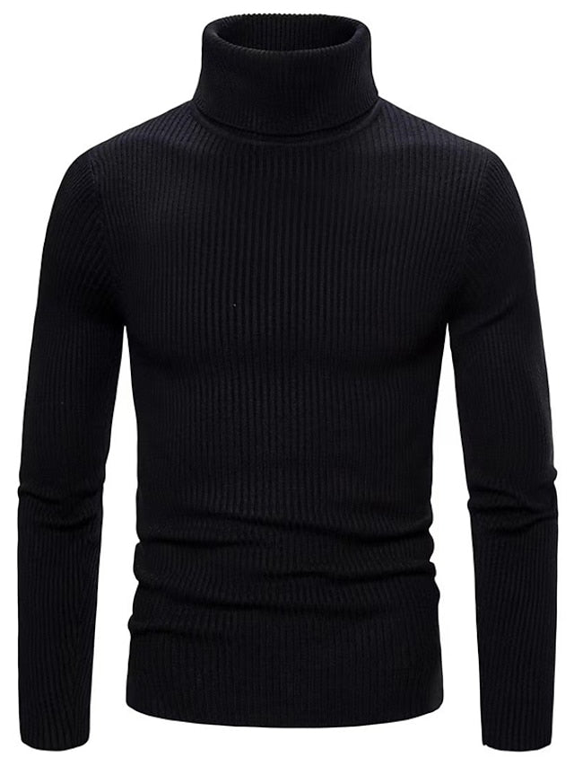 Hayes | Men's Ribbed Slim Turtleneck Sweater