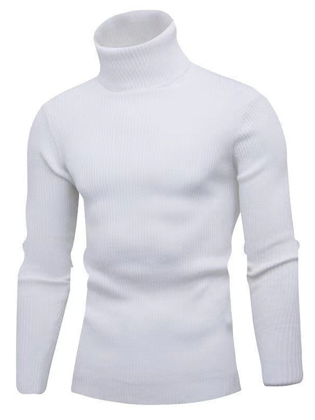 Hayes | Men's Ribbed Slim Turtleneck Sweater