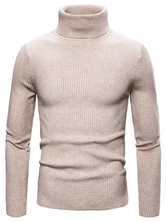 Hayes | Men's Ribbed Slim Turtleneck Sweater