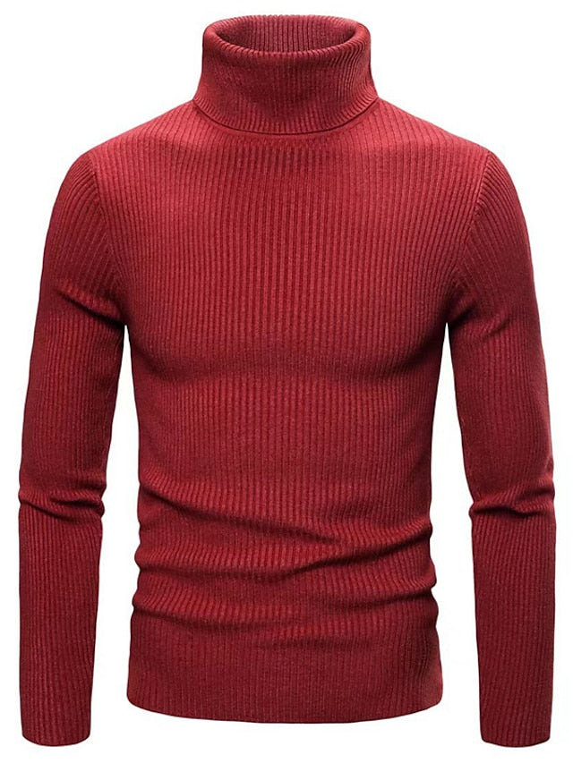 Hayes | Men's Ribbed Slim Turtleneck Sweater
