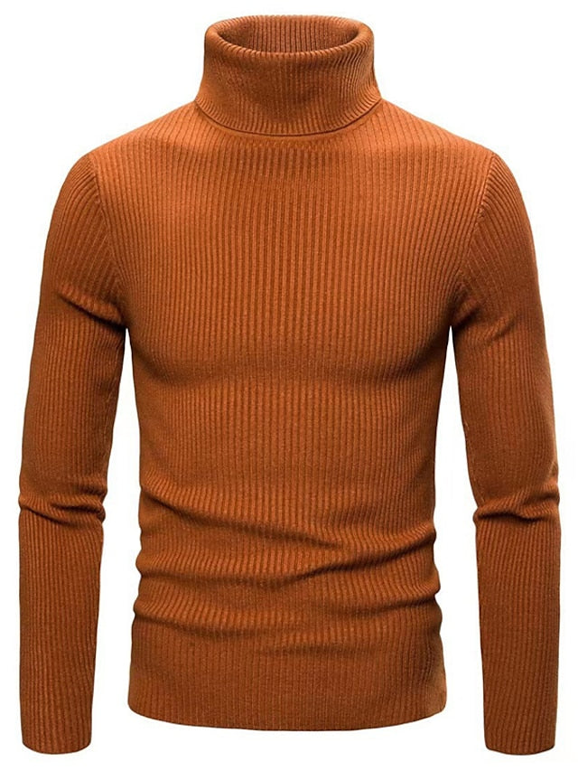 Hayes | Men's Ribbed Slim Turtleneck Sweater