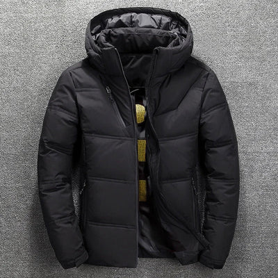 Ramsey | Herren Stepp-Pufferjacke mit Kapuze